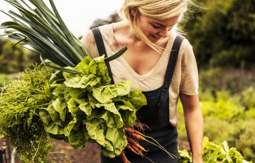 Otvoren 12. NLB Organic konkurs: Fond od 2.500.000 dinara za najbolje održive ideje