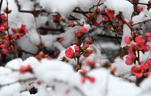 Danas oblačno, uglavnom suvo, a evo šta nas očekuje od PETKA