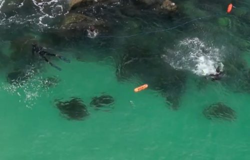 Ribolovci kasno videli da je AJKULA među njima: Očajna žena snimala, ali nije mogla da ih upozori (VIDEO)