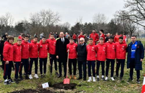 Mladići sadili borove, a devojke jele: Prelepa akcija Crvene zvezde na Ušću! (FOTO)