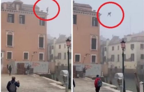 Mladić skočio sa krova pred šokiranim prolaznicima: Čuo se VRISAK, a on je samo odšetao dalje (VIDEO)