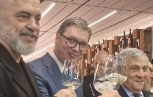 "Hvala na DIVNOM DOČEKU!" Vučić sa italijanskim zvaničnicima obišao Sajam vina u Veroni (VIDEO)