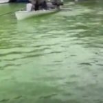 Ludilo u Veneciji: Voda dobila fluorescentno zelenu boju, policija istražuje, a oni su glavni osumnjičeni
