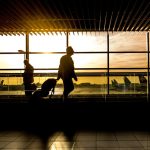 Podigao čitav aerodrom na noge: Putnik zaboravio torbu, pa tražio da se avion vrati na terminal