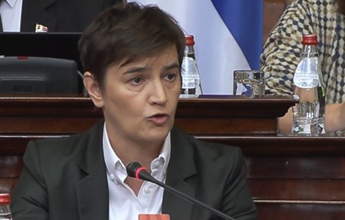 Brnabić: Srbija želi da razvija i proširuje ekonomske odnose sa Izraelom