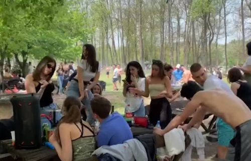 Beogradska izletišta KRCATA, roštiljanje počelo rano JUTROS