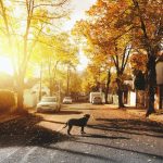 Hladno jutro sa umerenim mrazom, tokom dana suvo, uveče naoblačenje