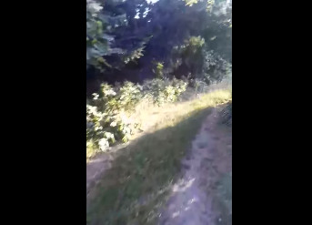 Snimak rafalne paljbe na granici sa Mađarskom: Više ekipa Hitne pomoći odjurilo ka šumi (VIDEO)