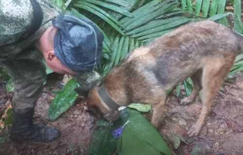 Čudo u kolumbijskoj džungli: Deca preživela pad aviona, spasioci ih pronašli posle pet nedelja (VIDEO)