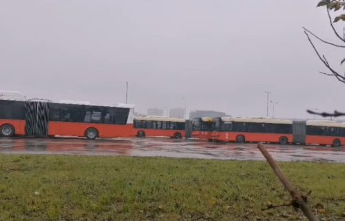 POČELA SA RADOM APLIKACIJA "BEOGRAD PLUS": Evo kako da proverite gde je autobus!