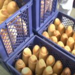 Vlada Srbije propisala maksimalnu cenu hleba: Evo koliko će koštati narednih 6 meseci
