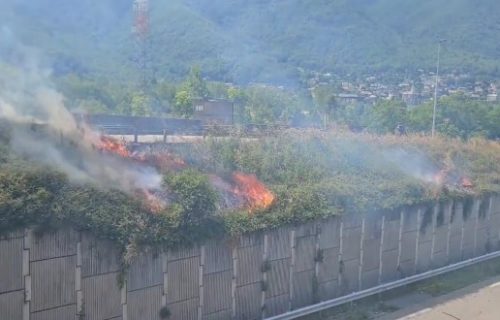 Tuča na protestima! Letele kamenice, koristile se i dimne bombe (VIDEO)