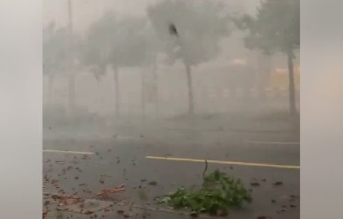 Švajcarska u kandžama oluje: Vetar od 217 kilometara na čas nosio sve pred sobom, ima nastradalih (VIDEO)