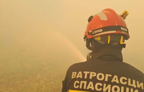 Srpski vatrogasci na delu: Prve fotografije naših heroja iz borbe sa vatrenom stihijom u Grčkoj