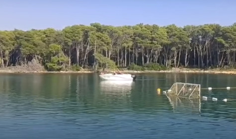 Psovao bez srama i pominjao braniteljski status: Hrvat sa glisera vređao meštane, pa skinuo i gaće