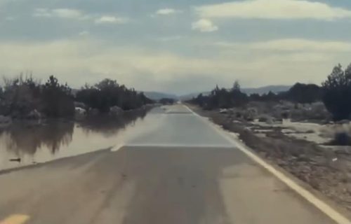 Auto koji se sam vozi završio u vodi: Vozač hoće da tuži sve redom (VIDEO)