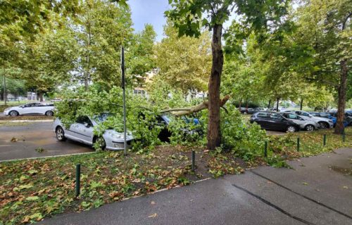 OVAKO IZGLEDA BEOGRAD POSLE OLUJE: Poplave na ulicama, polomljeno drveće, centar potopljen (VIDEO)