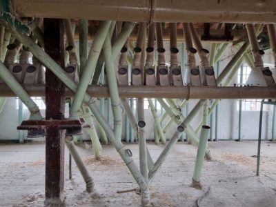 Jedinstvena prilika za obilazak mlina “Suvobor” u Obrenovcu: Evo svih detalja o izletu za 23. septembar