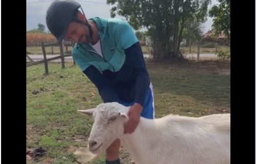 "Goat" i GOAT na istom mestu: Nole na Kosmaju, hit snimak i urnebesni komentari (VIDEO)