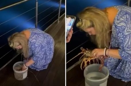 Priča o nesebičnoj ženi i JASTOGU dirnuće i najtvrđa srca: Čak se i gazda restorana raznežio (VIDEO)