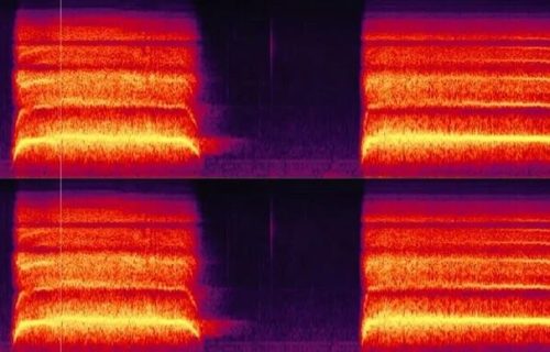Ovo je najjeziviji zvuk na svetu: Proizvodi ga "zviždaljka smrti" i uteruje strah u kosti (AUDIO)