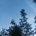 Od "ruske zime" sa -4 do Miholjskog leta: Prognoza meteorologa Ristića za haotični oktobar