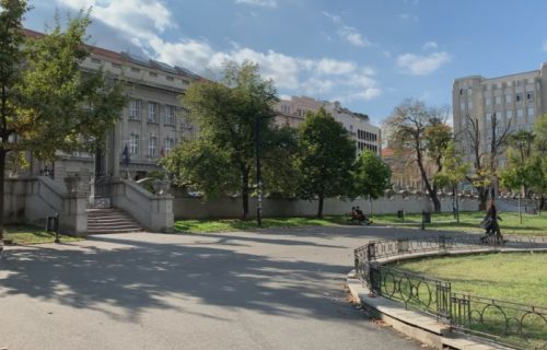 Predstavu "Drveće pleše" beogradska publika će moći da gleda u Studentskom parku