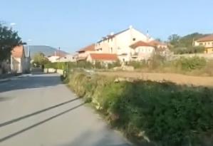 Divlja zver opušteno šeta selom: Stanovnici je redovno viđaju, deluje uhranjeno (VIDEO)