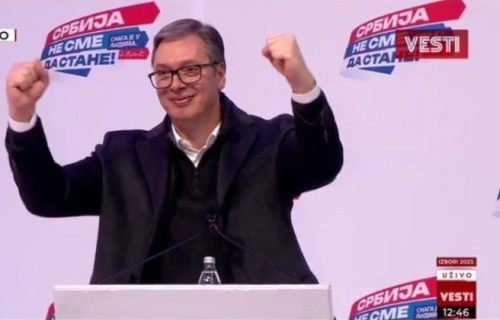 "Za našu decu, za budućnost Srbije": Vučić podelio snimak sa pričom jedne majke, kojoj se ostvario najlepši san (VIDEO)