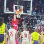 Zvezda nikad MOĆNIJA: Fenerbahče nokautiran u Areni!