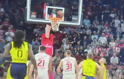 Zvezda nikad MOĆNIJA: Fenerbahče nokautiran u Areni!