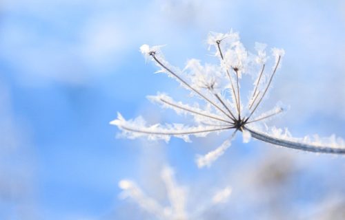 Najnovija prognoza za zimu meteorologa Ristića će vas iznenaditi: Biće snega, mraza, ali i OVE POJAVE