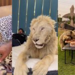 Influenser iz Dubaija u luksuznoj kući drži divlje životinje, tvrdi da ih spasava kada ih drugi odbace