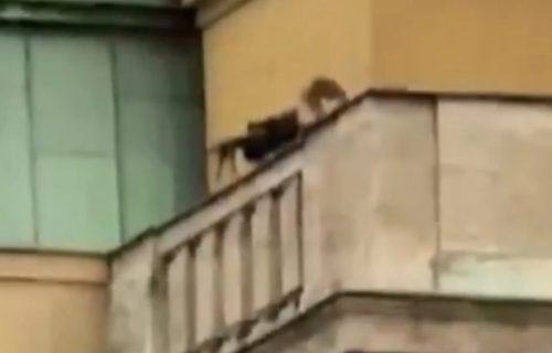 "Tu sam, pucaj po meni!" Ovo je junak koji je pokušao da skrene pažnju ubici iz Praga (VIDEO)