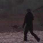 Odbegli kengur se osvetio policajcu koji ga je privodio (VIDEO)