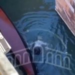 Selfi u Veneciji ih skupo koštao: Turistima se svi smeju zbog ovog snimka (VIDEO)