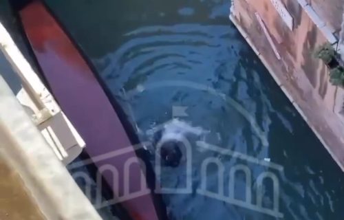 Selfi u Veneciji ih skupo koštao: Turistima se svi smeju zbog ovog snimka (VIDEO)