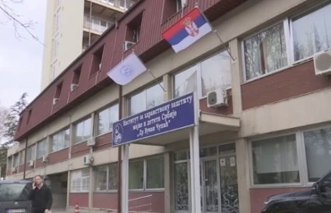 Užas kod Surčina: Devojčica (14) teško povređena tokom jahanja, hitno prevezena u bolnicu