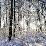 Sneg, vetar i poledica: Evo kada nas očekuje prestanak padavina