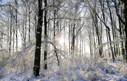 Sneg, vetar i poledica: Evo kada nas očekuje prestanak padavina