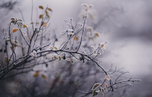 Temperatura pada za desetak stepeni: OVOG dana sledeće nedelje počinje ZAHLAĐENJE