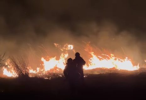 Vatrogasci se i dalje bore sa vatrenom stihijom na Fruškoj Gori (VIDEO)