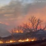 Šumski požari van kontrole u Teksasu: Postrojenje za nuklearno oružje obustavilo rad (VIDEO)