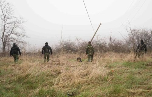 Psi, policija i pripadnici Gorske službe na terenu: Cela Srbija na nogama zbog nestanka male Danke (FOTO)