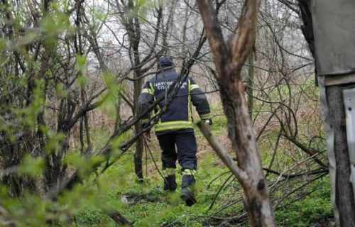 Devojčica bi prvo pala ili sela: Komšija tvrdi da Danka (2) nije mogla da hoda po terenu na kom je nestala