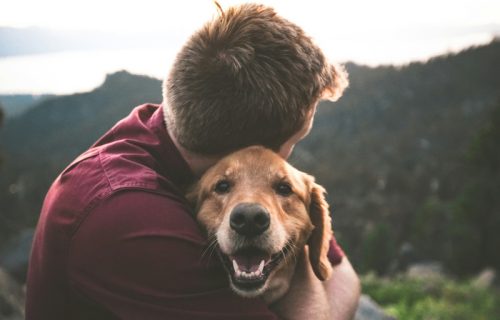 Psi kao antistres terapija: Evo kako omiljeni četvoronošci pomažu vlasnicima