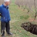 Usred plantaže lešnika pojavila se ogromna rupa, meštani Gornjeg Vakufa u čudu (VIDEO)