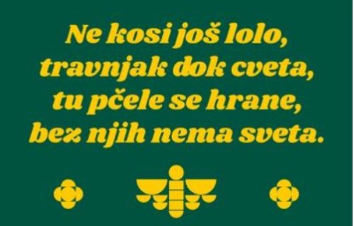 Po ugledu na svetske metropole: Projekat "Ne kosi još lolo" da se pčelama, leptirima, bumbarima i ostalim oprašivačima pruži veći pristup hrani
