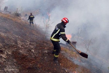 Izletnici izazvali požar: Gori na Zobnatičkom jezeru, gust crni dim kulja u nebo (FOTO)