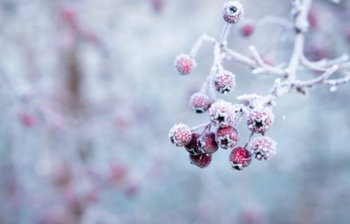 Sneg u aprilu ima moćnu simboliku, evo kakvo ga narodno verovanje prati